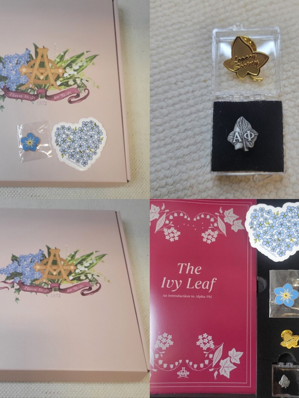 Alphi Phi Giftbox Bundle 3 Pins, Sticker, 2026 Book On History Of Alphi Phi